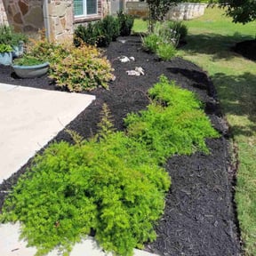 Mulching by Brandonsanders reviewed on August 16, 2025