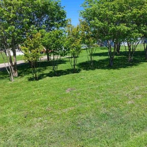 turf maintenance by Gadsden lawncare reviewed on August 21, 2025