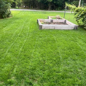 yard care by SRH Lawn and Shrubs reviewed on November 22, 2025