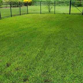 landscaping by LIGHTNING LANDSCAPING & LAND MANAGEMENT reviewed on August 20, 2025