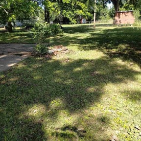 Leaf Removal by Leiva Earth works LLC reviewed on July 3, 2026