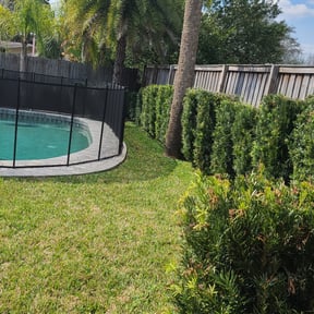 landscaping by Complete Lawn Care and Landscapes reviewed on November 25, 2025