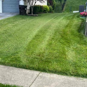 grass maintenance by Que reviewed on July 3, 2025