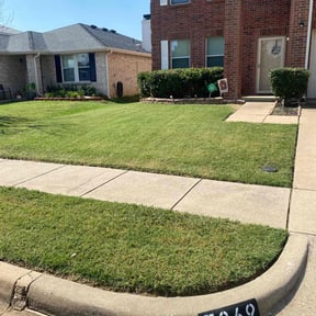 turf care by A1 lawns reviewed on August 16, 2025