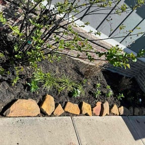 Flower Planting by  reviewed on August 14, 2025