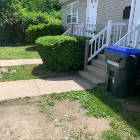 Bush Trimming by Yeti Yards reviewed on August 17, 2025