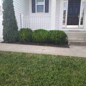 Bush Trimming by Exclusive landscaping reviewed on July 13, 2026