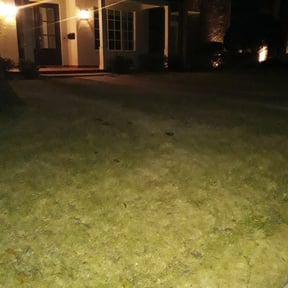 Bush Trimming by bjourklund landscaping reviewed on August 18, 2025