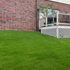 landscape maintenance by Re Image lawn care reviewed on August 20, 2025