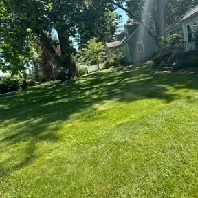 turf care by Farrar Landscaping reviewed on August 1, 2024