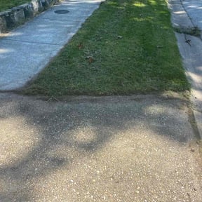 Bush Trimming by Donald Austile Lawn Care reviewed on August 17, 2025