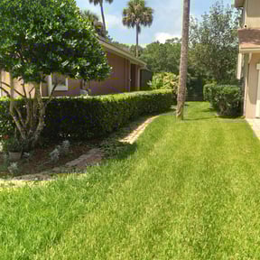 Bush Trimming by B&amp;B Landscaping and Hauling reviewed on August 15, 2025