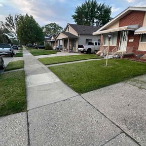 yard service by American Quality landscaping reviewed on August 15, 2025