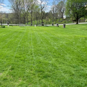 landscape maintenance by Fully Loaded LLC reviewed on August 19, 2025
