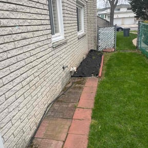 Leaf Removal by Paradise Lawn Service reviewed on September 29, 2025