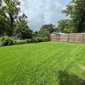 lawn maintenance by Checkered Lawn Service reviewed on August 20, 2025