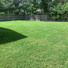 yard service by Kevreks Lawncare Service’s reviewed on August 20, 2025