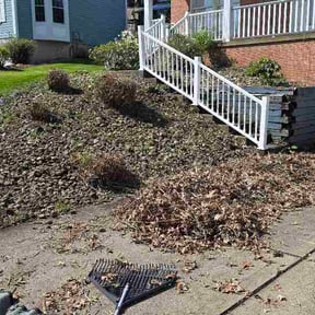 Bush Trimming by D.P.S (Dave Property Services) reviewed on April 30, 2026