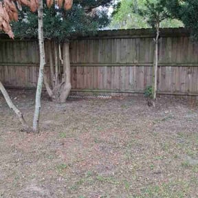 Leaf Removal by Positive Landscaping reviewed on April 7, 2026