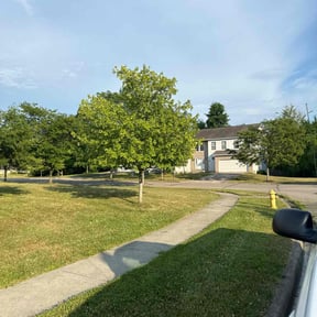 yard care by Gardens Of eDen lawn service reviewed on December 1, 2025