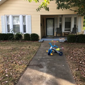 Bush Trimming by Julian's Lawn Care Service reviewed on August 20, 2025