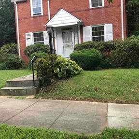 Bush Trimming by Hanhan Lawn Care LLC reviewed on August 16, 2025