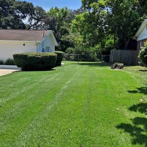 Bush Trimming by Ortiz Landscaping reviewed on May 2, 2024