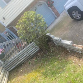 Bush Trimming by Care 1 Lawn reviewed on August 15, 2025