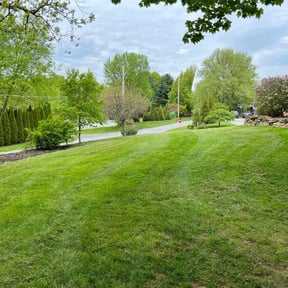 lawn care by Serenity Lawn Care and Property Maintenance reviewed on August 20, 2025