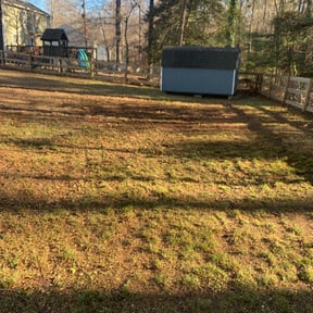 Leaf Removal by Harvey Handy & Lawn reviewed on August 17, 2025