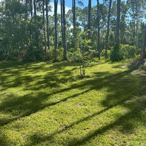 landscaping by Top Flight Lawn reviewed on August 21, 2025