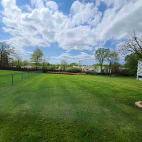 landscaping by B&C Landscaping LLC reviewed on August 16, 2025