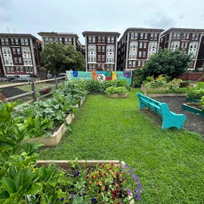 residential landscaping by BNK Home Improvements & Landscaping LLC reviewed on August 21, 2025