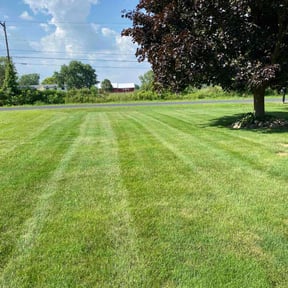 landscaping by Ivan Sanchez  reviewed on November 24, 2025