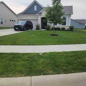 landscape maintenance by Mann's Construction LLC reviewed on August 21, 2025