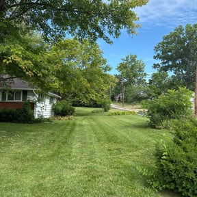 landscaping services by K&D land maintenance reviewed on August 20, 2025