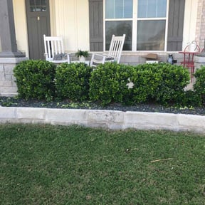 Bush Trimming by Cari lawn care reviewed on August 19, 2025
