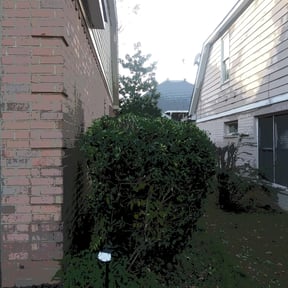 Bush Trimming by Lawn moors inc reviewed on August 16, 2025