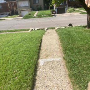 yard service by Leapai Unlimited, Inc. reviewed on November 23, 2025