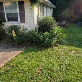 Bush Trimming by Ground Pro Maintenance, LLC. reviewed on August 19, 2025