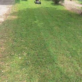 lawn care services by Verde Garden LLC. reviewed on March 25, 2024