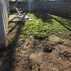 Leaf Removal by Fresh Clean Cuts LLC reviewed on September 21, 2025