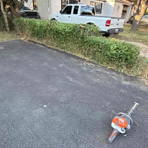 Bush Trimming by Grass Care By the Beach reviewed on August 16, 2023