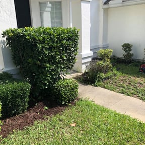 Bush Trimming by Inversiones Jar reviewed on August 15, 2025
