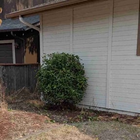 Bush Trimming by J&#039;s Lawn and Landscaping reviewed on October 24, 2025