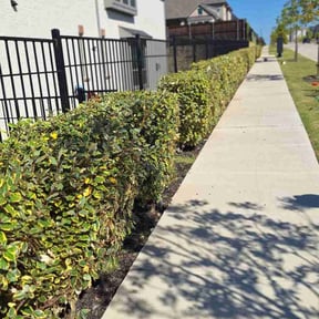 Bush Trimming by Poetry In Motion, LLC reviewed on October 22, 2025