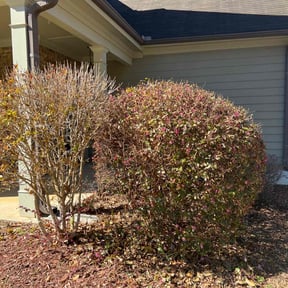 Bush Trimming by Wells Mowing Inc. reviewed on August 15, 2025