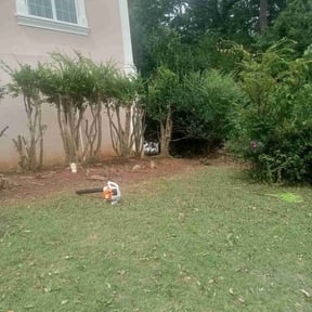 Bush Trimming by Four Seasons Nature Care Services reviewed on August 20, 2025
