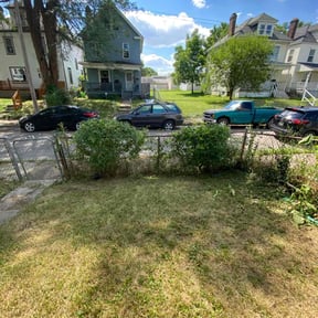 Bush Trimming by Mr.Carter's Landscaping reviewed on August 20, 2025
