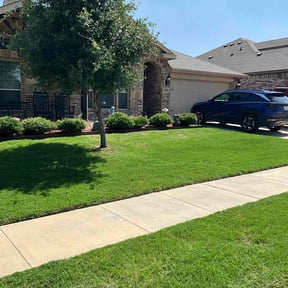 yard care by Sustain Tec, LLC reviewed on August 16, 2025